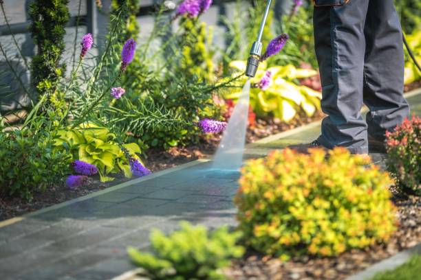 Best Parking Lot and Garage Cleaning  in Wakarusa, IN